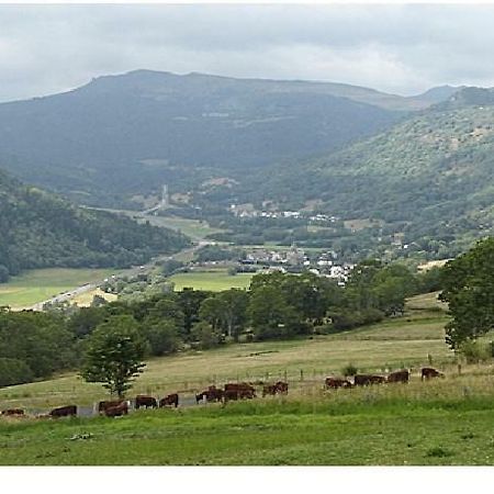 Vacances Au Pied Des Monts Du Cantal Laveissière Exteriör bild