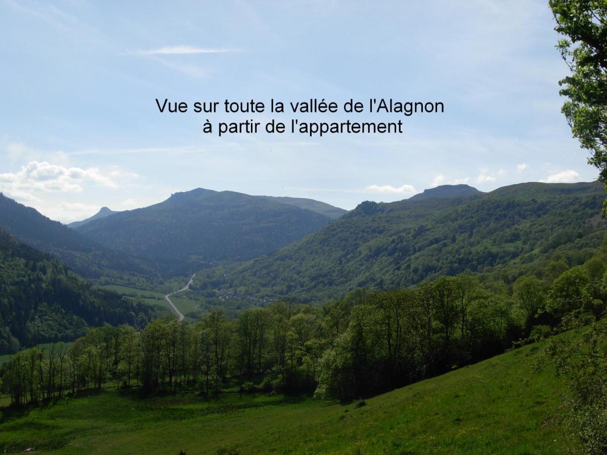 Vacances Au Pied Des Monts Du Cantal Laveissière Exteriör bild