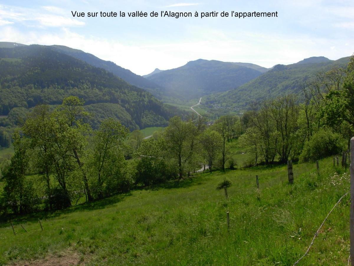 Vacances Au Pied Des Monts Du Cantal Laveissière Exteriör bild