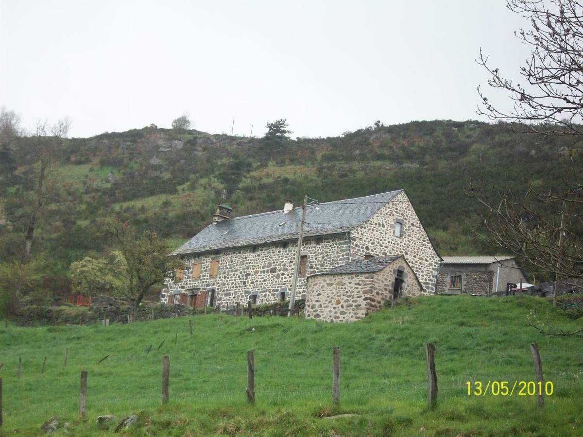 Vacances Au Pied Des Monts Du Cantal Laveissière Exteriör bild