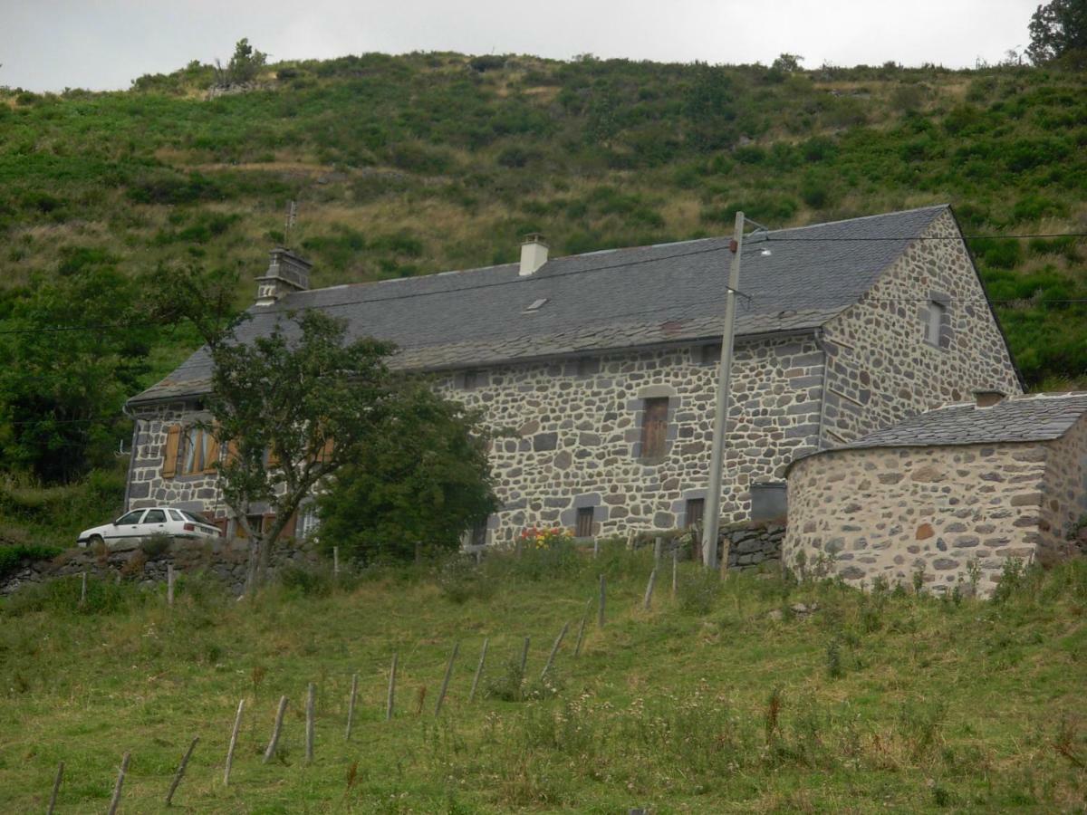 Vacances Au Pied Des Monts Du Cantal Laveissière Exteriör bild